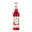 MONIN ΣΙΡΟΠΙ RASPBERRY 700ml